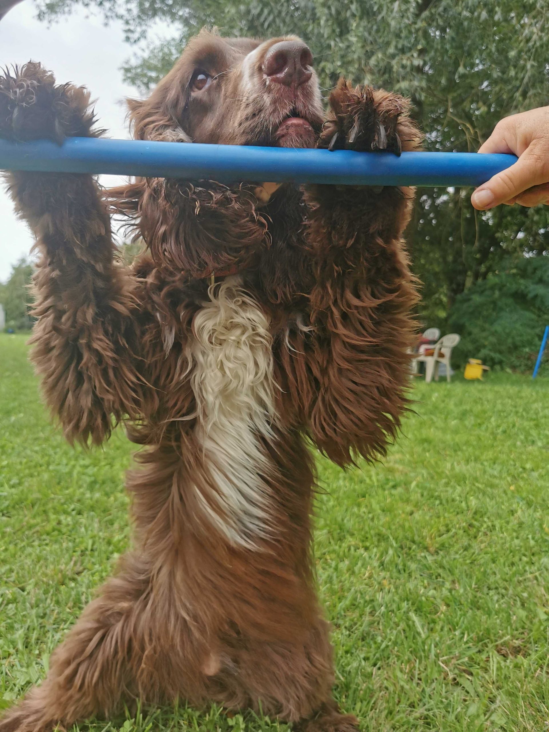 img-20230822-095233-1